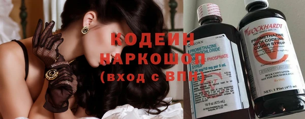 прущие грибы Вязьма