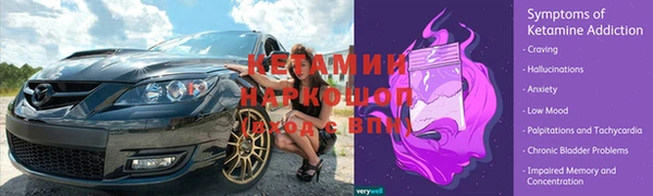 прущие грибы Вязьма
