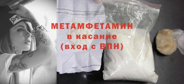 прущие грибы Вязьма