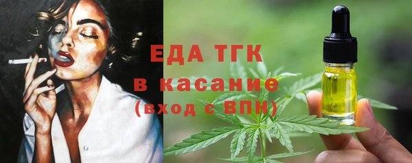 прущие грибы Вязьма