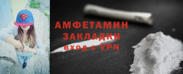 прущие грибы Вязьма