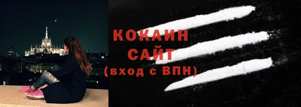 прущие грибы Вязьма