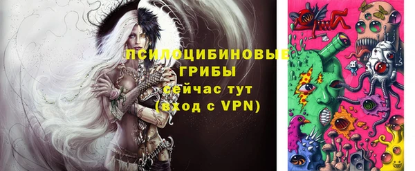 прущие грибы Вязьма