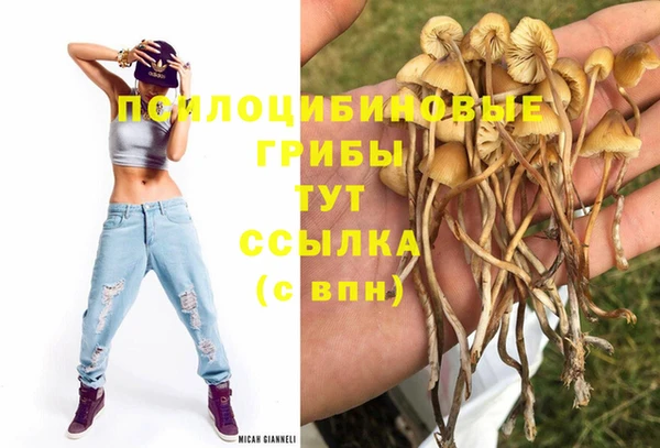 трава Вяземский