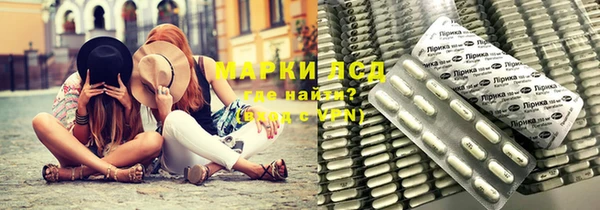 прущие грибы Вязьма