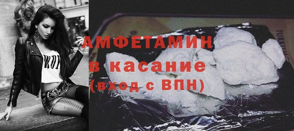 прущие грибы Вязьма