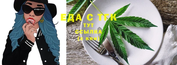 прущие грибы Вязьма