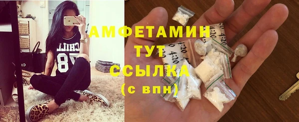 прущие грибы Вязьма