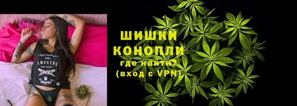 прущие грибы Вязьма