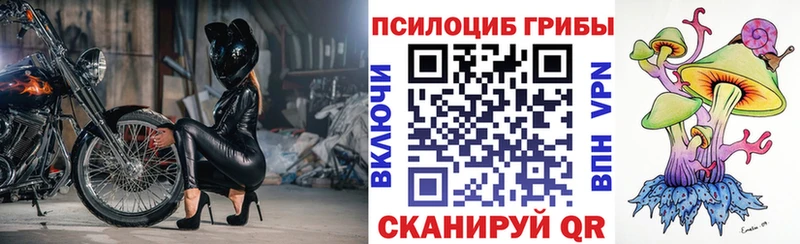 Галлюциногенные грибы Cubensis  Купить где  Катайск 